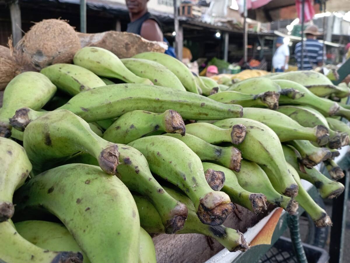 Plátano y otros alimentos alcanzan precios históricos en Cartagena