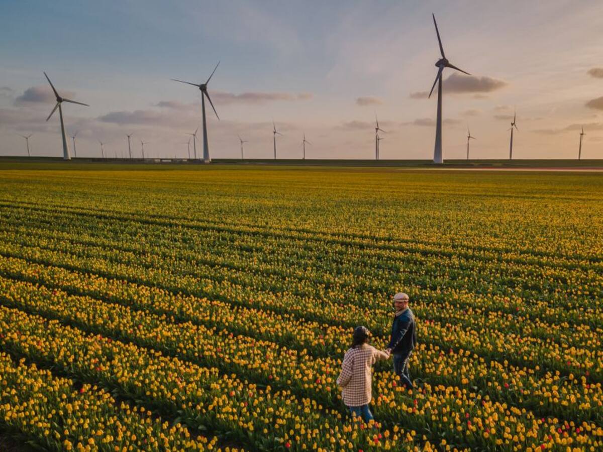 ¿Cómo comprender el verdadero significado de la abundancia?