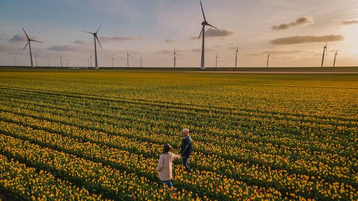 ¿Cómo comprender el verdadero significado de la abundancia?