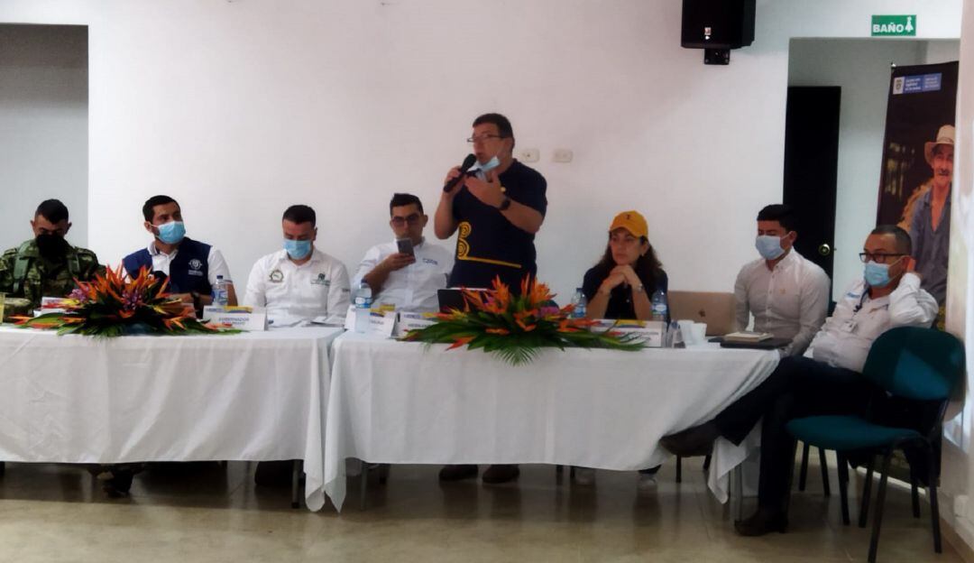 Sustitución de Cultivos ilícitos 