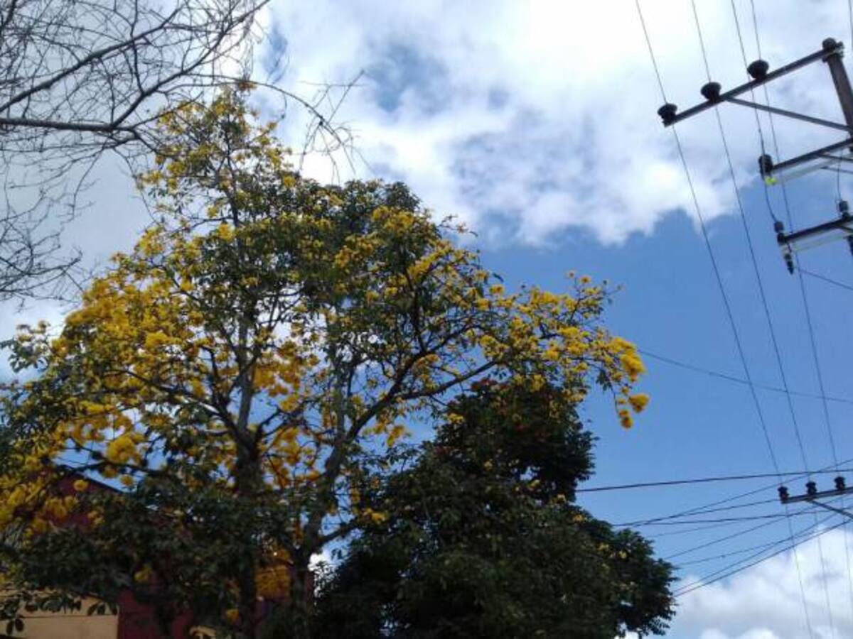 Las noticias más importantes de Armenia y Quindío, jueves 15 de marzo