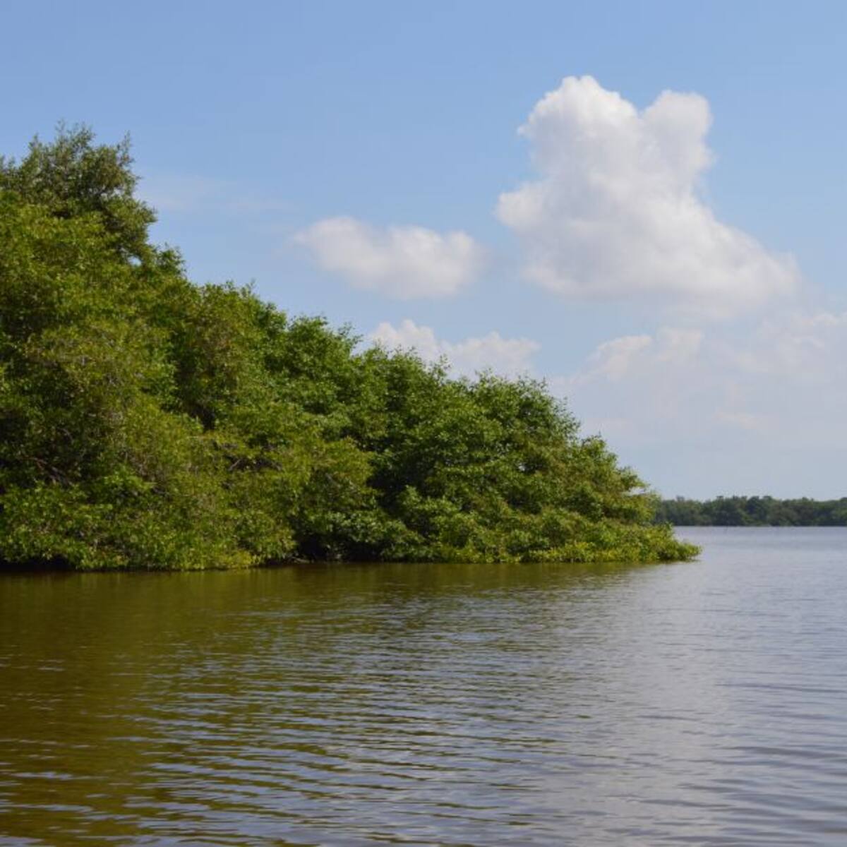 Consorcio PHDV ejecutará obras en la Ciénaga Grande de Santa Marta