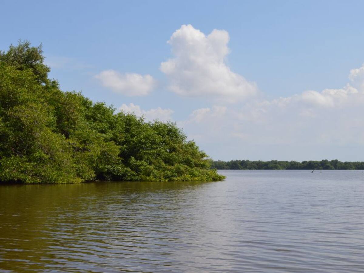 Consorcio PHDV ejecutará obras en la Ciénaga Grande de Santa Marta