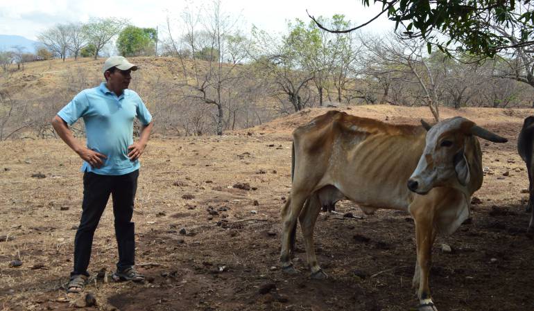 Sequía en Natagaima