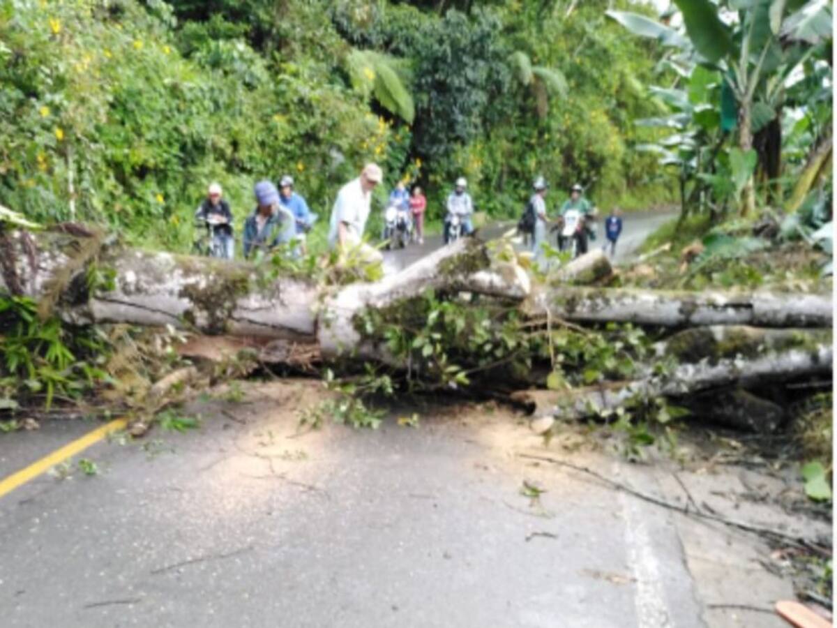 Deslizamientos y vías afectadas por lluvias en Caldas
