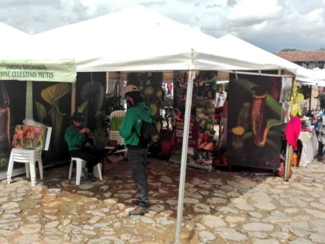 Festival del Árbol promueve evitar uso de bolsas plásticas en Boyacá