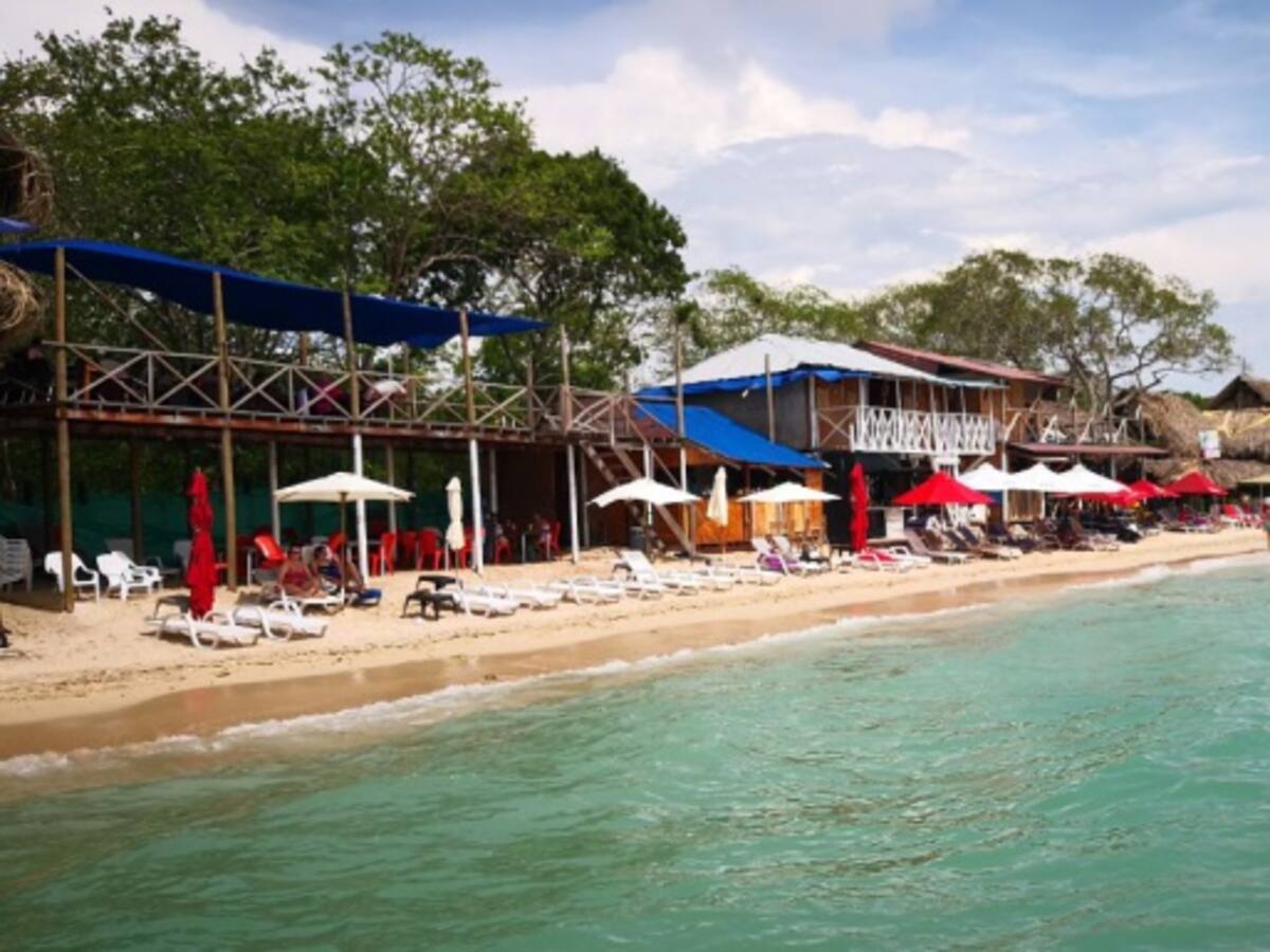 Barú, refugio de tortugas