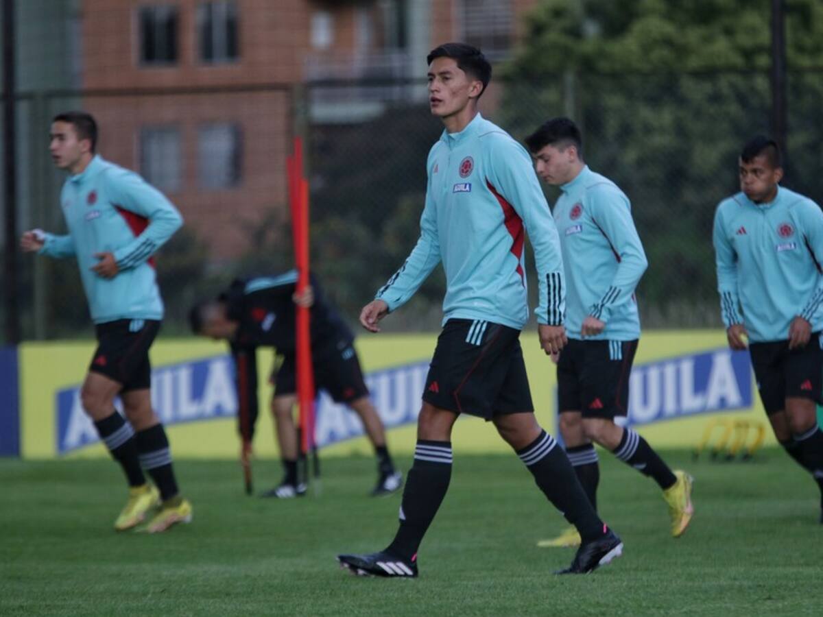 ¿Fernando Álvarez seguirá representando a Colombia luego del Sudamericano?