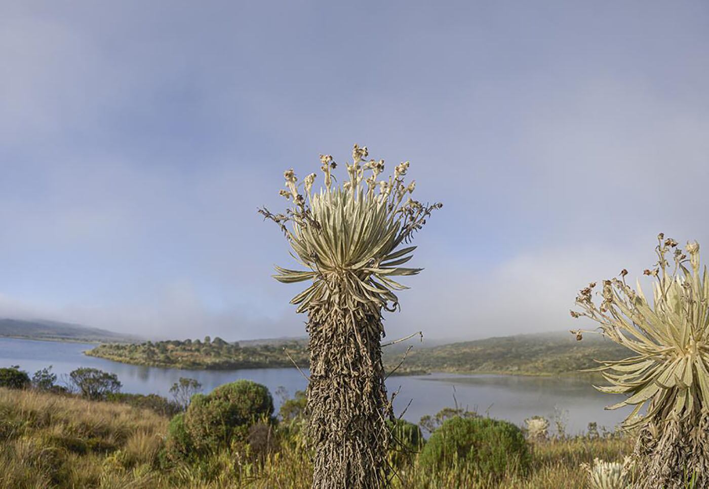 Páramo La Cortadera. Foto | Corpoboyacá