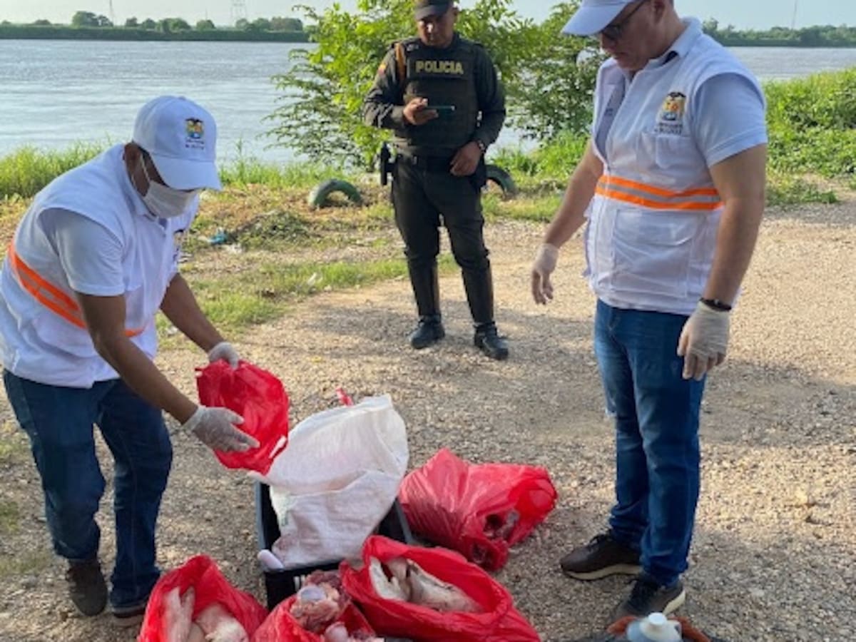 Incautaron y destruyeron 721 kilogramos de carnes y queso en Magangué, Bolívar