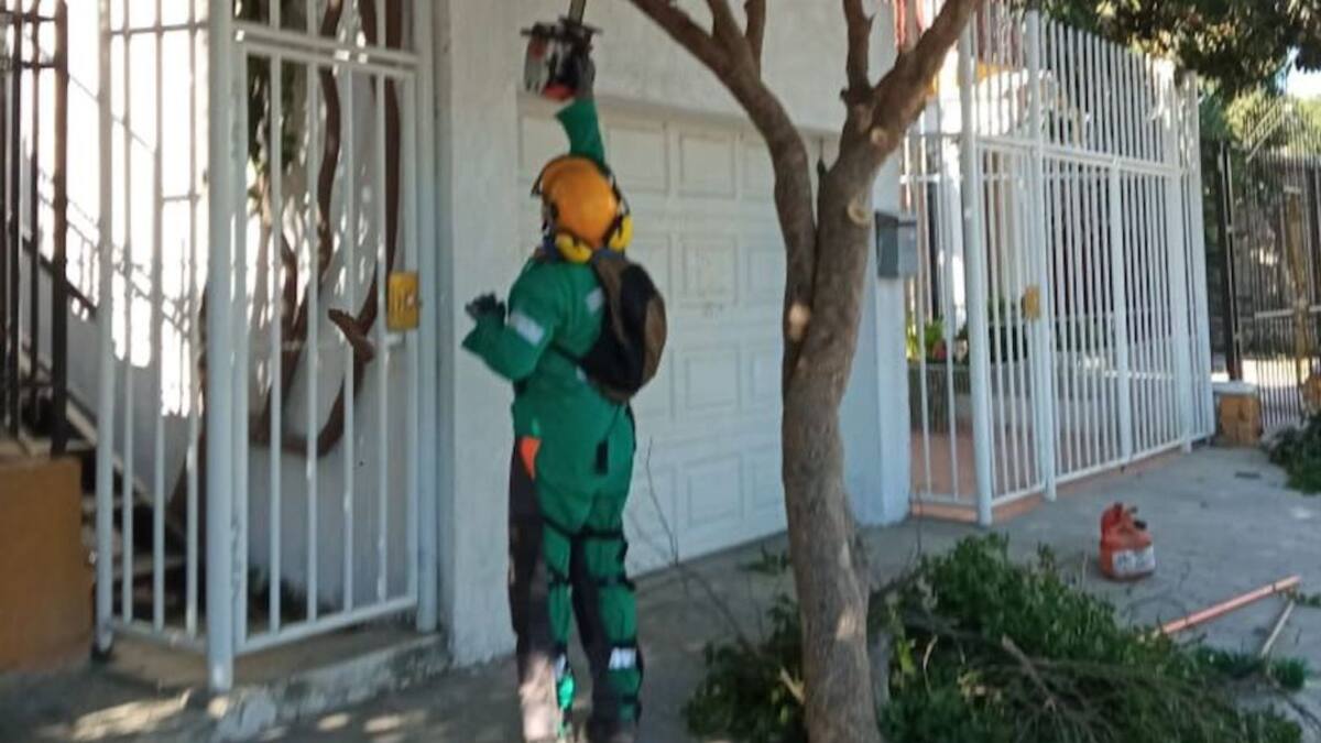 ‘Interaseo a tu lado’ continuará recorriendo la ciudad en el 2022