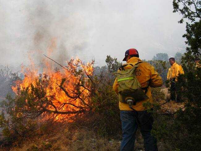 En este mes de enero las conflagraciones han consumido más de 10 hectáreas de vegetación.