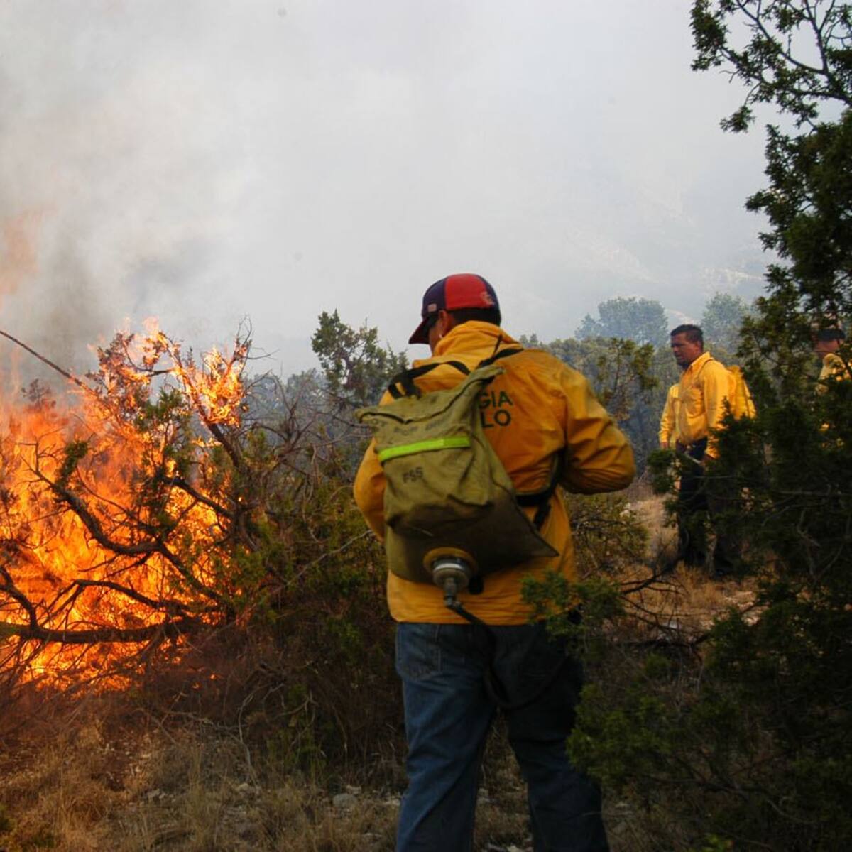 El 98.99% de los incendios forestales en Neiva son generados