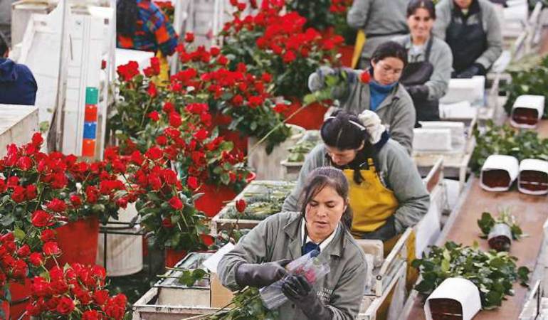 Floricultores de la sabana. 
