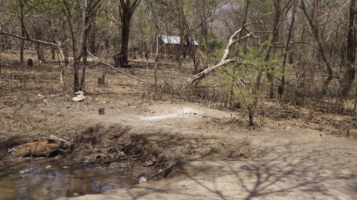 Recorrido de Caracol Radio por las zonas que aguantan sed. Fotos de Luis Enrique Rodríguez