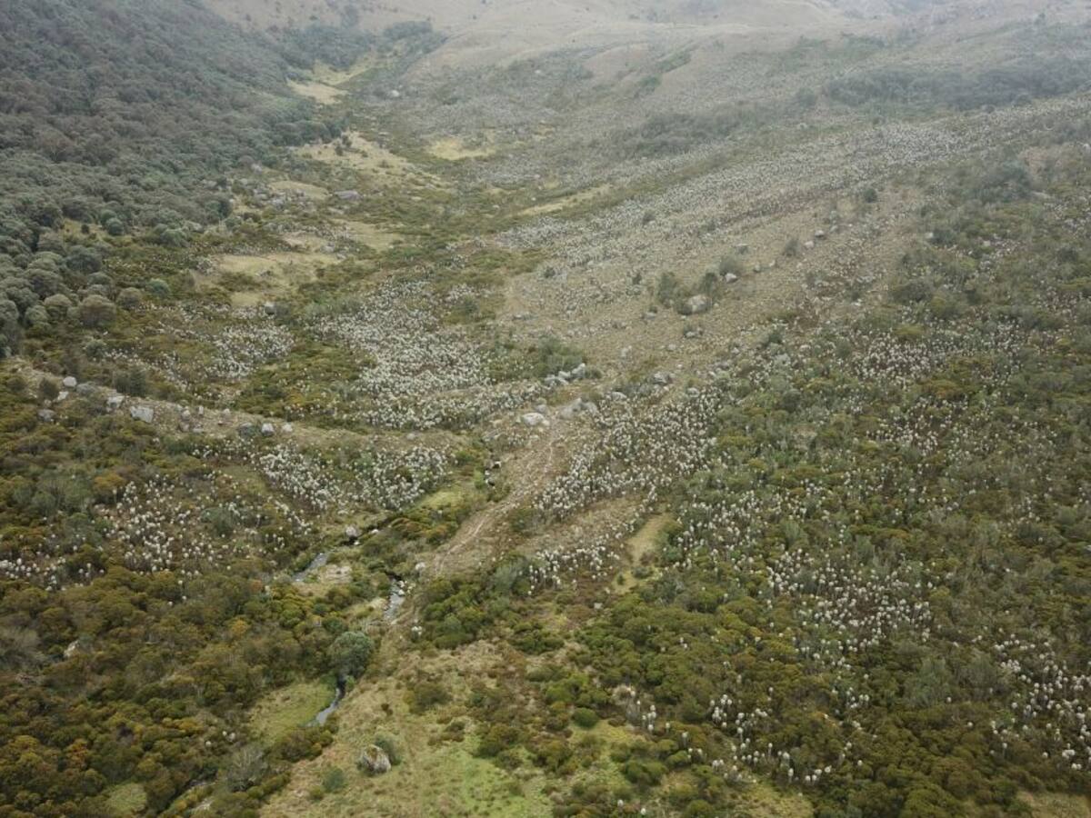 Expedición Páramo llega a Boyacá, el lugar con más páramos en Colombia