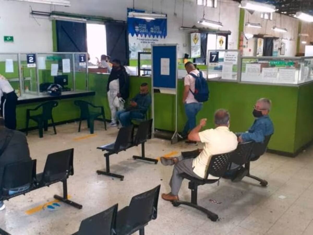 ¿Cómo avanza el proceso de expedición de licencias de conducción en Armenia?