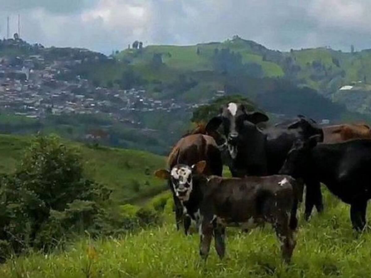 Se firmó acuerdo para la sostenibilidad de la Cuenca Alta del Río Chinchiná
