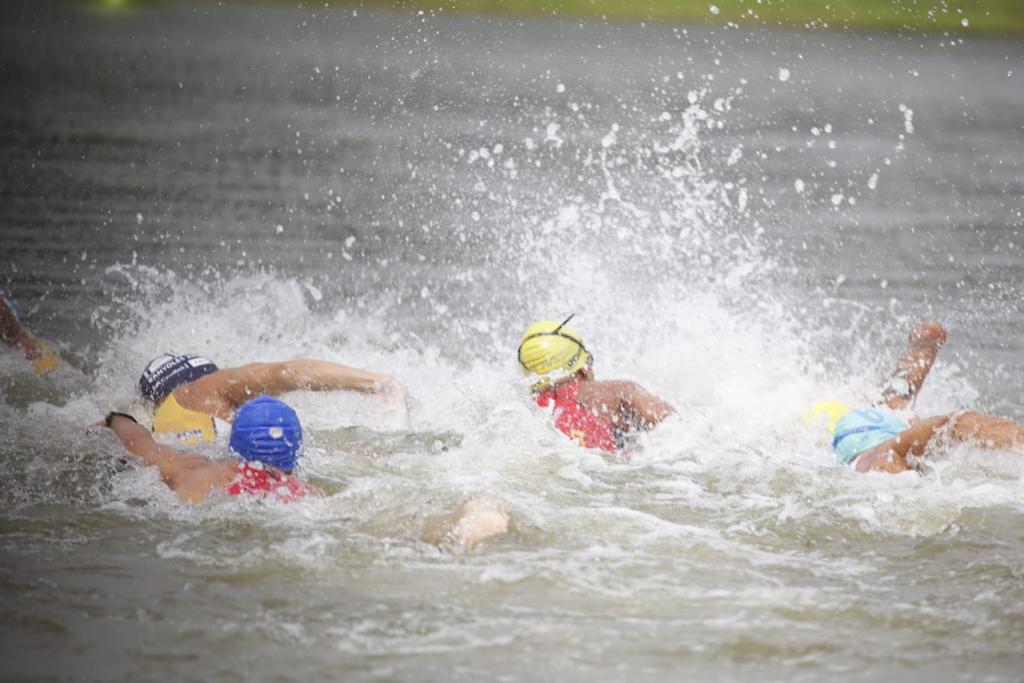 Crédito: Suministrada.