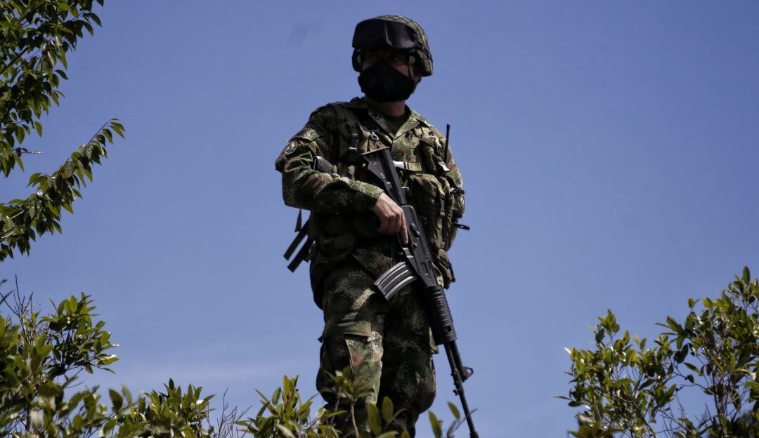 Imagen de referencia. 