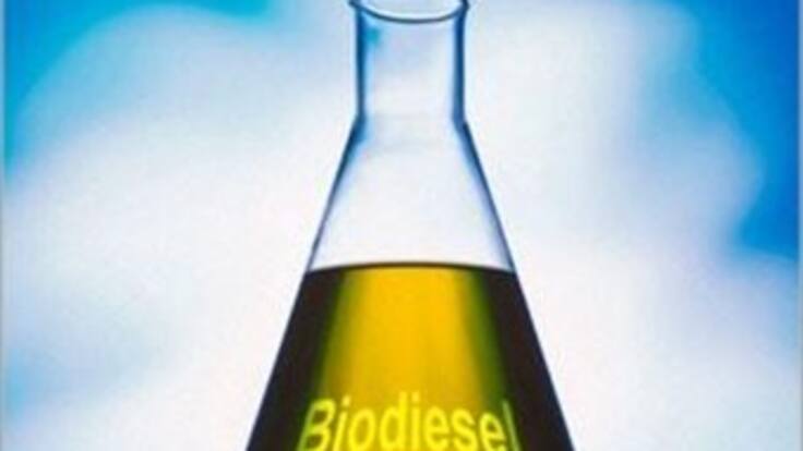 Combustibles Biológicos