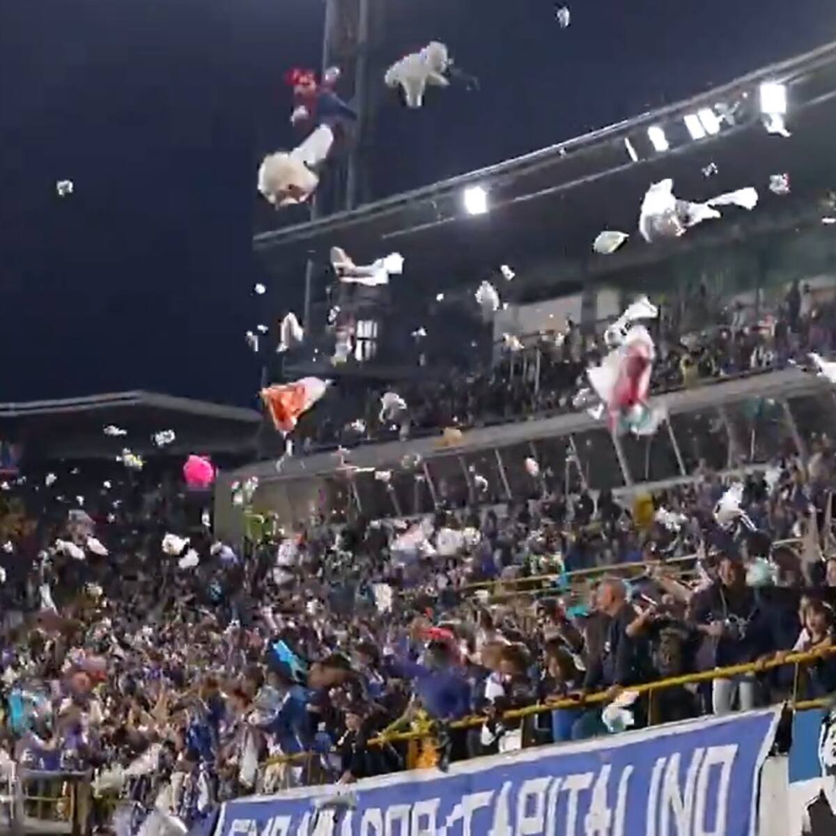 Lluvia de peluches: emotivo gesto de los hinchas de Millonarios por noble causa