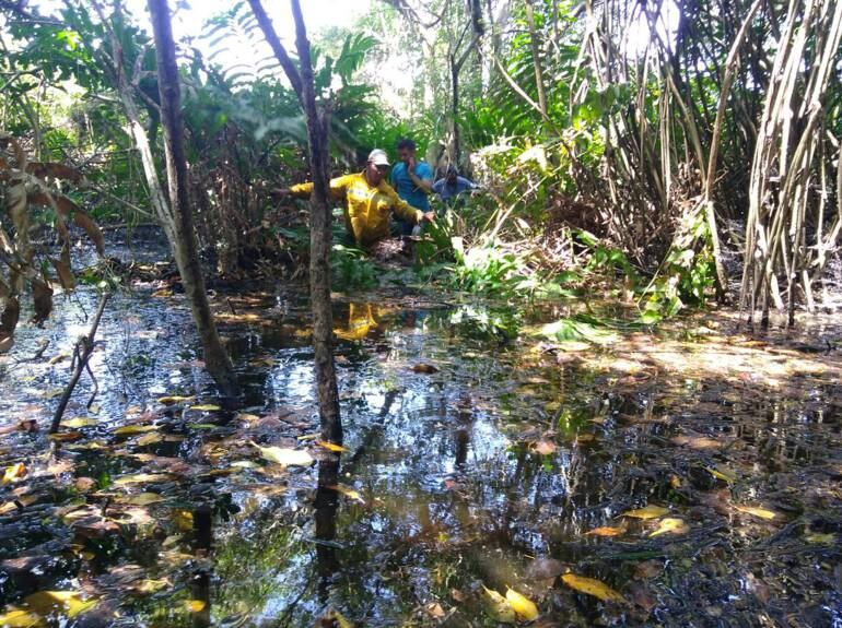 Imagen de referencia