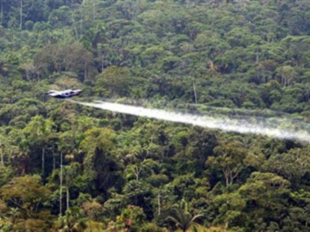 Autoridades en Caldas evitan fumigación de cultivos ilícitos por aspersión