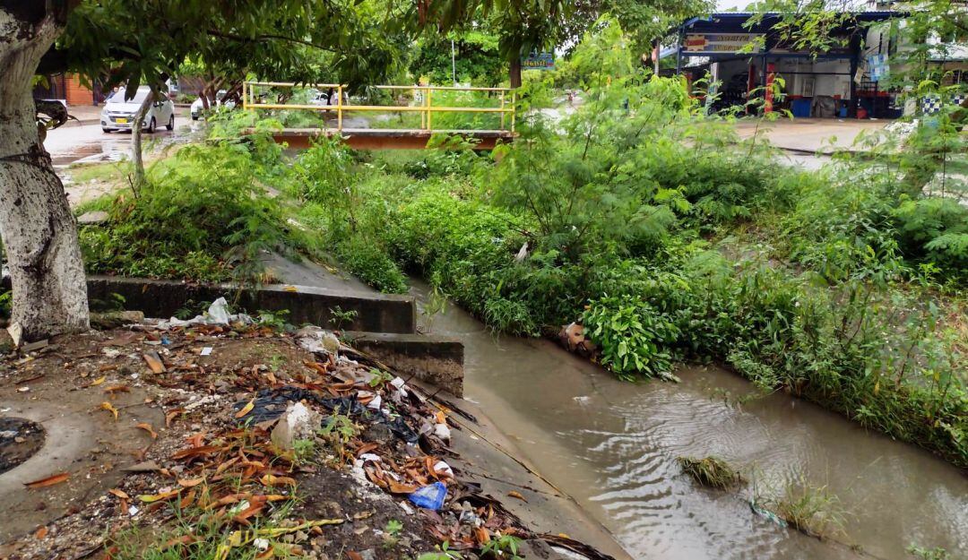 La comunidad hace un llamado a secretaría de infraestructura ante el crecimiento de maleza y sedimentos
