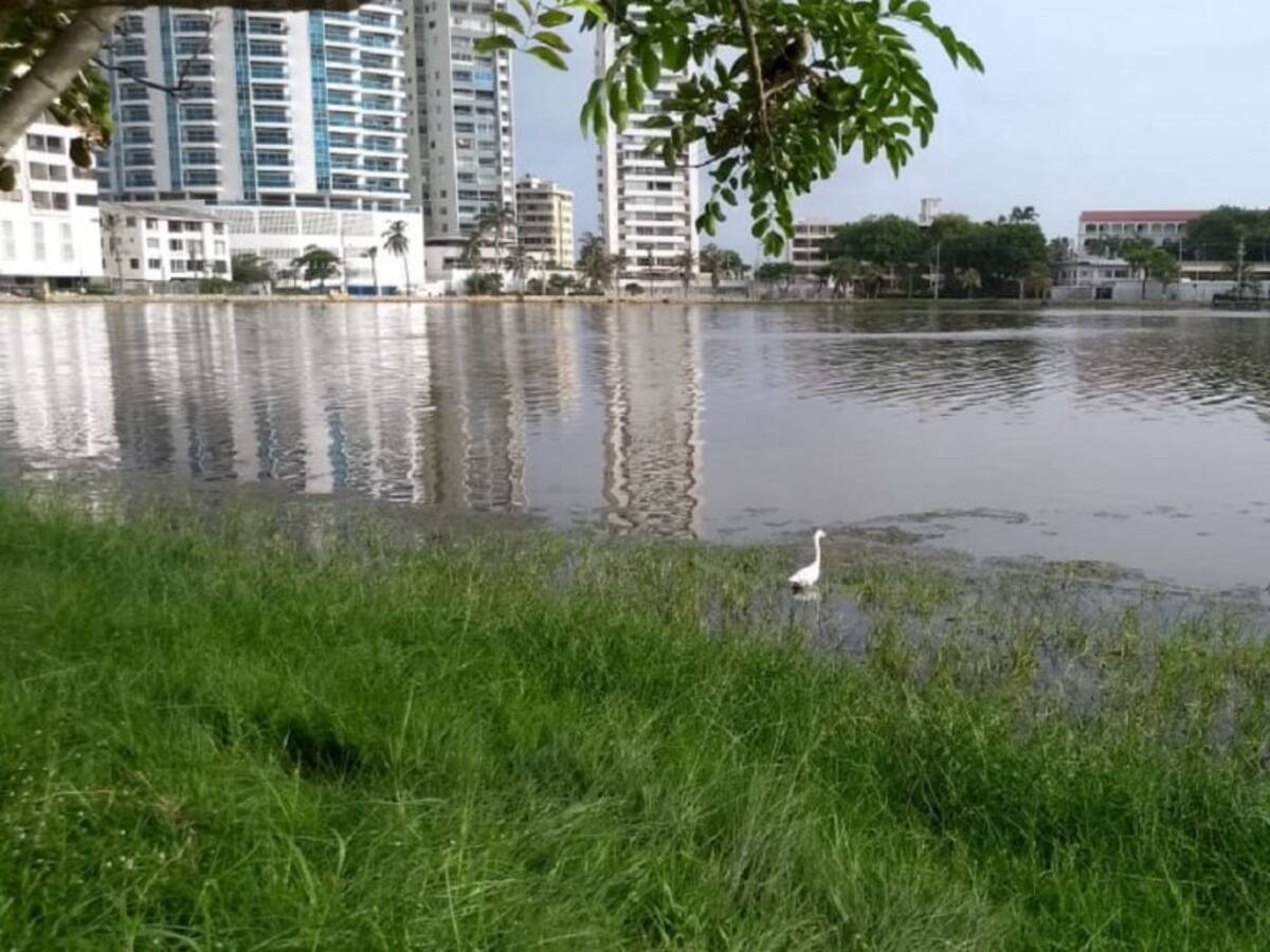 Queremos soluciones definitivas: vecinos de El Laguito en Cartagena