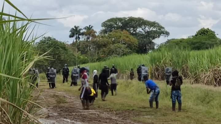 Invasores de tierras en el Cauca
