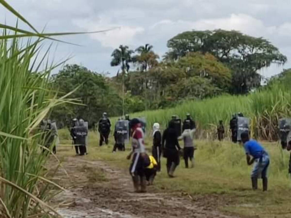 Sociedad de Agricultores y Ganaderos del Cauca denunció un nuevo intento de invasión
