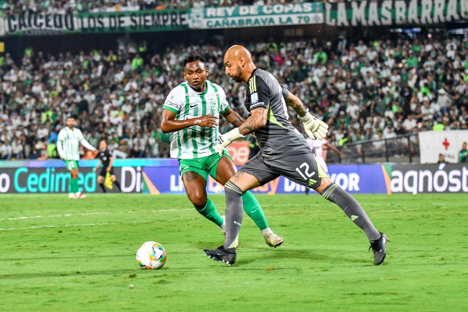 Nacional vs. Millonarios por fecha 13 de Liga Colombiana / Colprensa