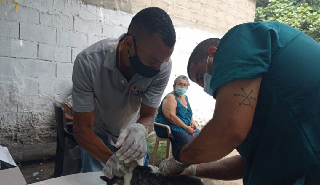 Desparasitante, vitaminas y vacuna contra el mal de rabia, fueron los medicamentos aplicados en esta actividad