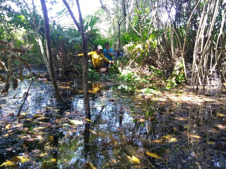 /FOTO CORTESÍA UNIDAD DE PARQUES