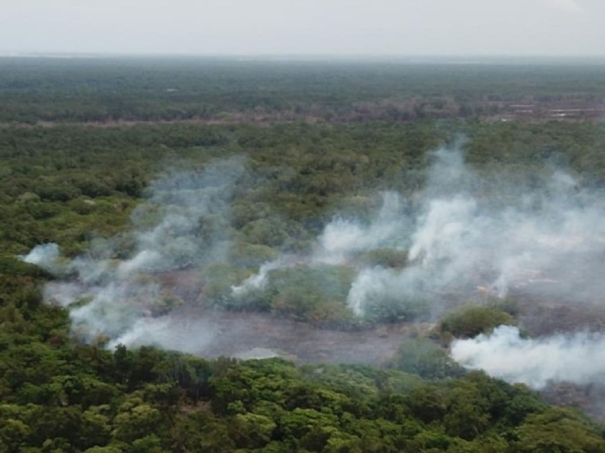 MinDefensa propone combatir estructuras criminales en Parque Isla Salamanca
