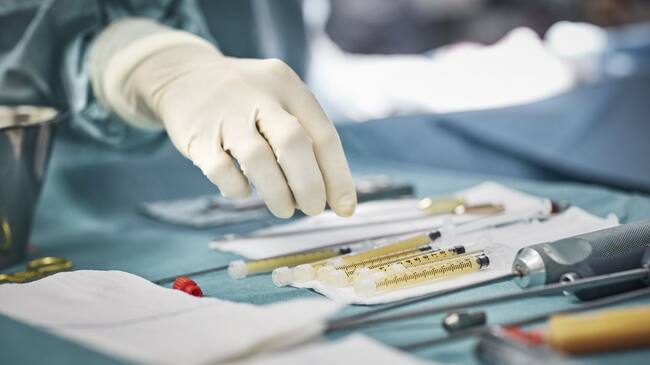 Imagen de referencia