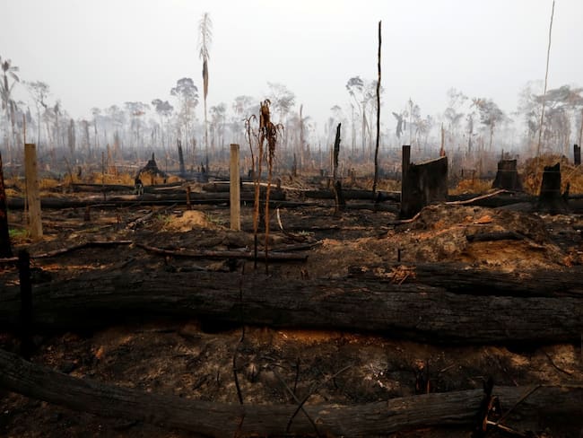 Contaminación en el aire por incendios del Amazonas