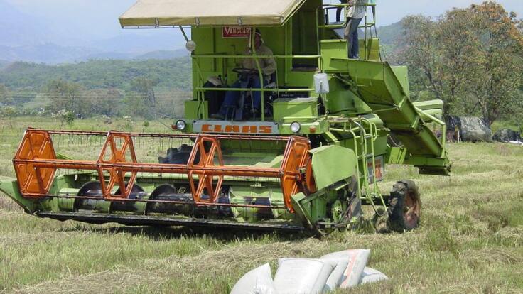 Martín Vargas, líder del gremio arrocero del Huila, afirma que están desamparados por el Gobierno Nacional pues están cultivando a pérdidas.