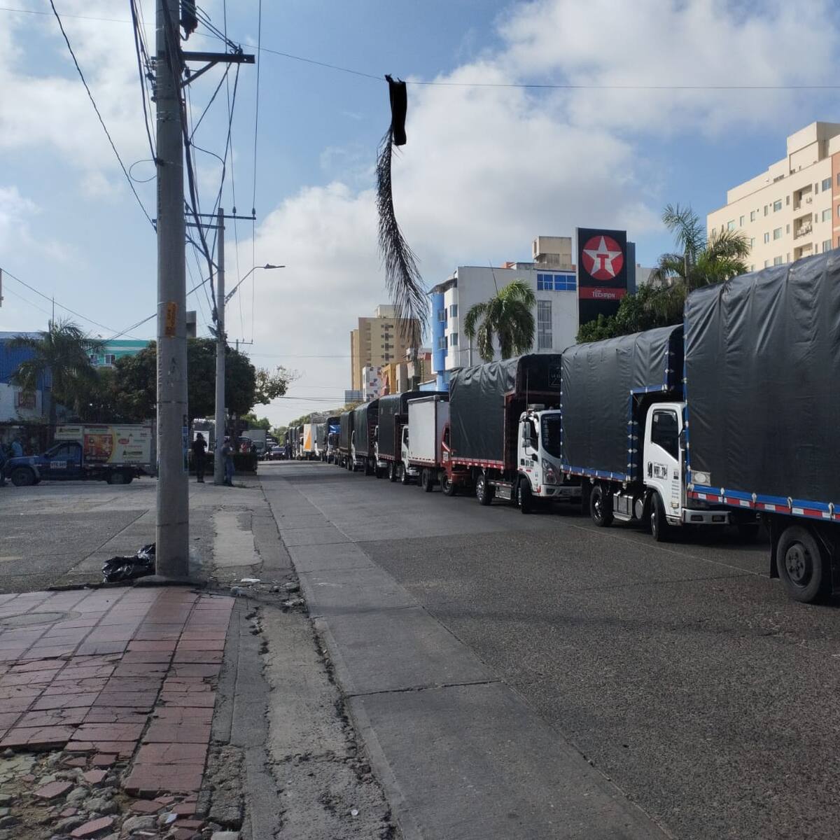 Pequeños transportadores adelantan ‘Plan Tortuga’ en Barranquilla