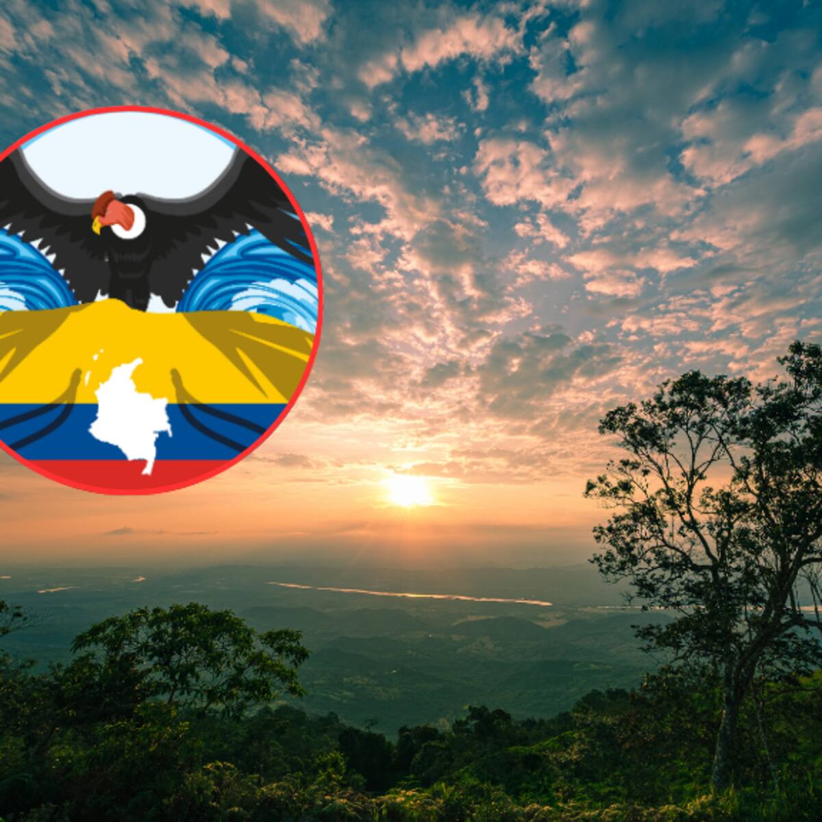 ¿Cuáles son los símbolos patrios de Colombia y cuál es su significado? Conózcalos