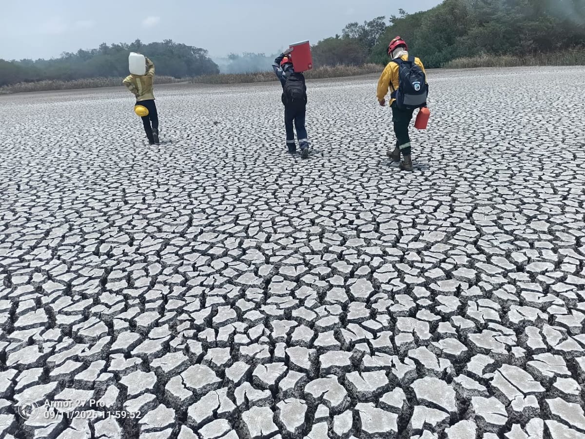 Parques Nacionales monitorea incendio forestal activo en el Vía Parque Isla de Salamanca