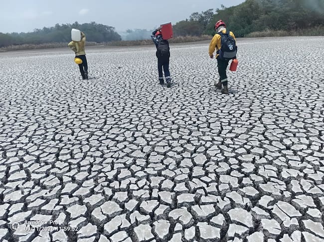 Parques Nacionales monitorea incendio forestal activo en el Vía Parque Isla de Salamanca. Foto: Parques Nacionales