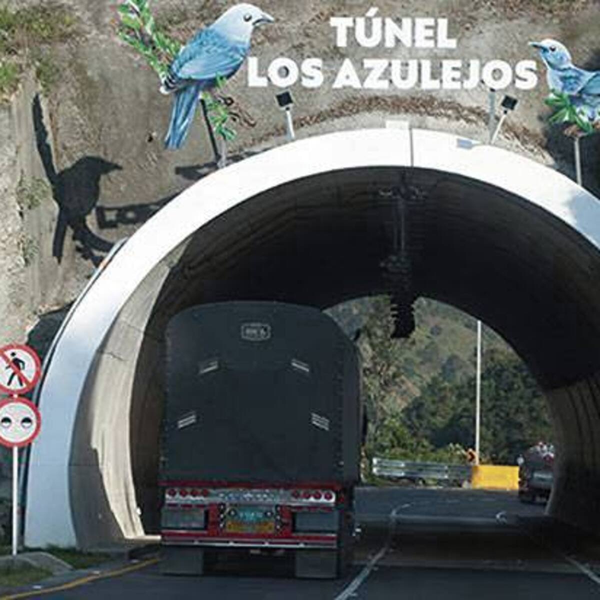Proponen instalar cámaras de foto-multa en el Alto de la Línea
