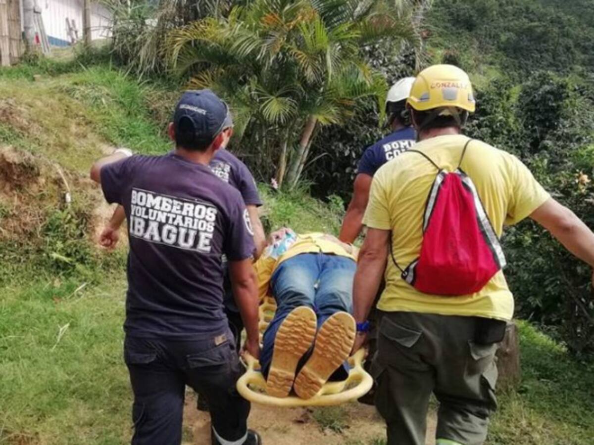 Geóloga peruana recibió cerca de 100 picaduras de abejas en Ibagué