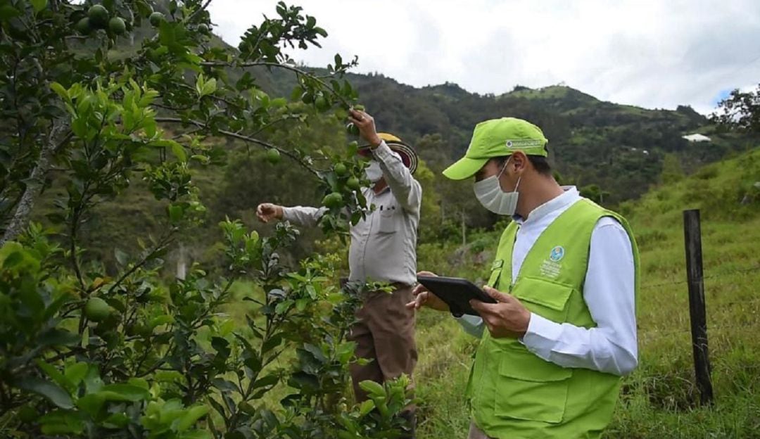 Apoyo financiero al campo
