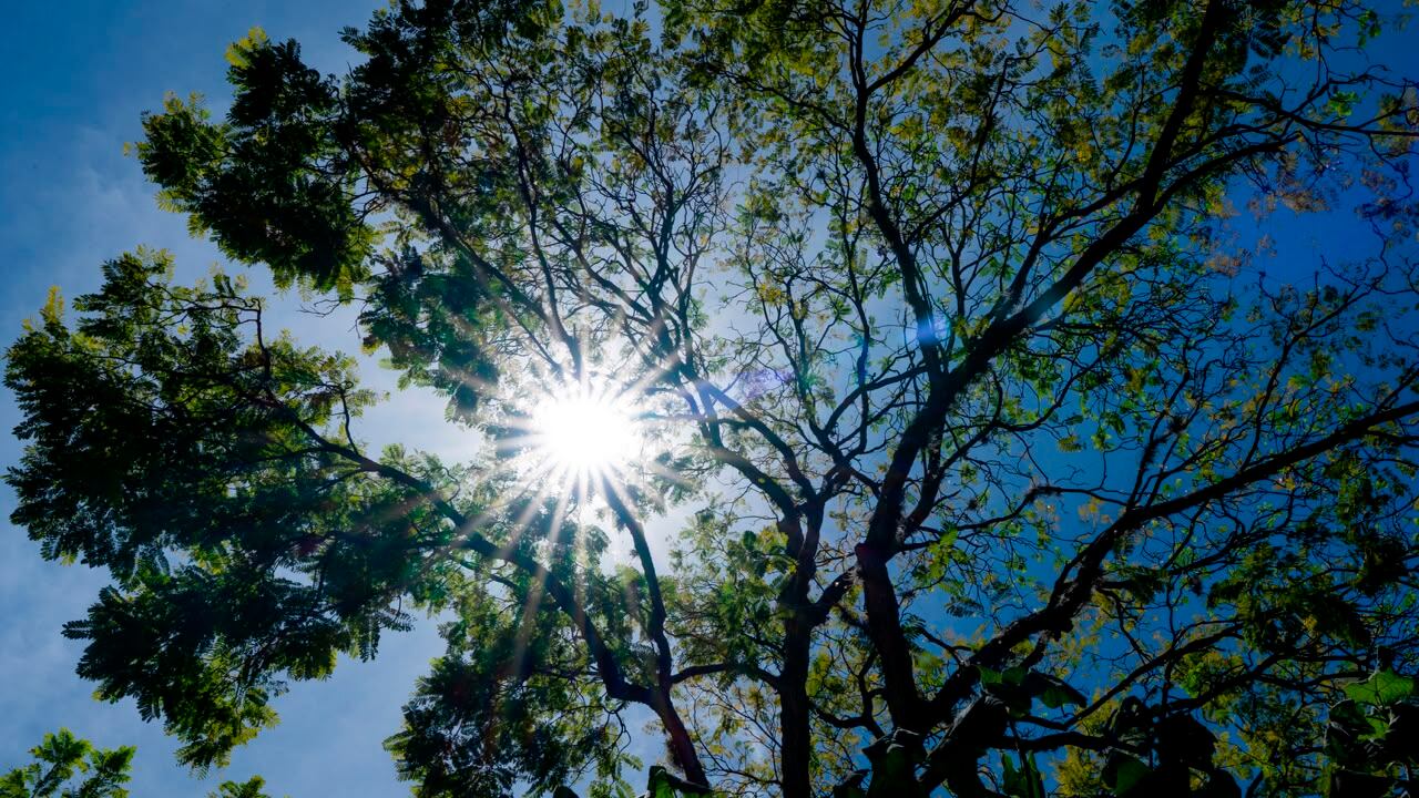 Se ha registrado altas temperaturas en el mes de julio en el Valle de Aburrá. Foto: Cortesía AMVA