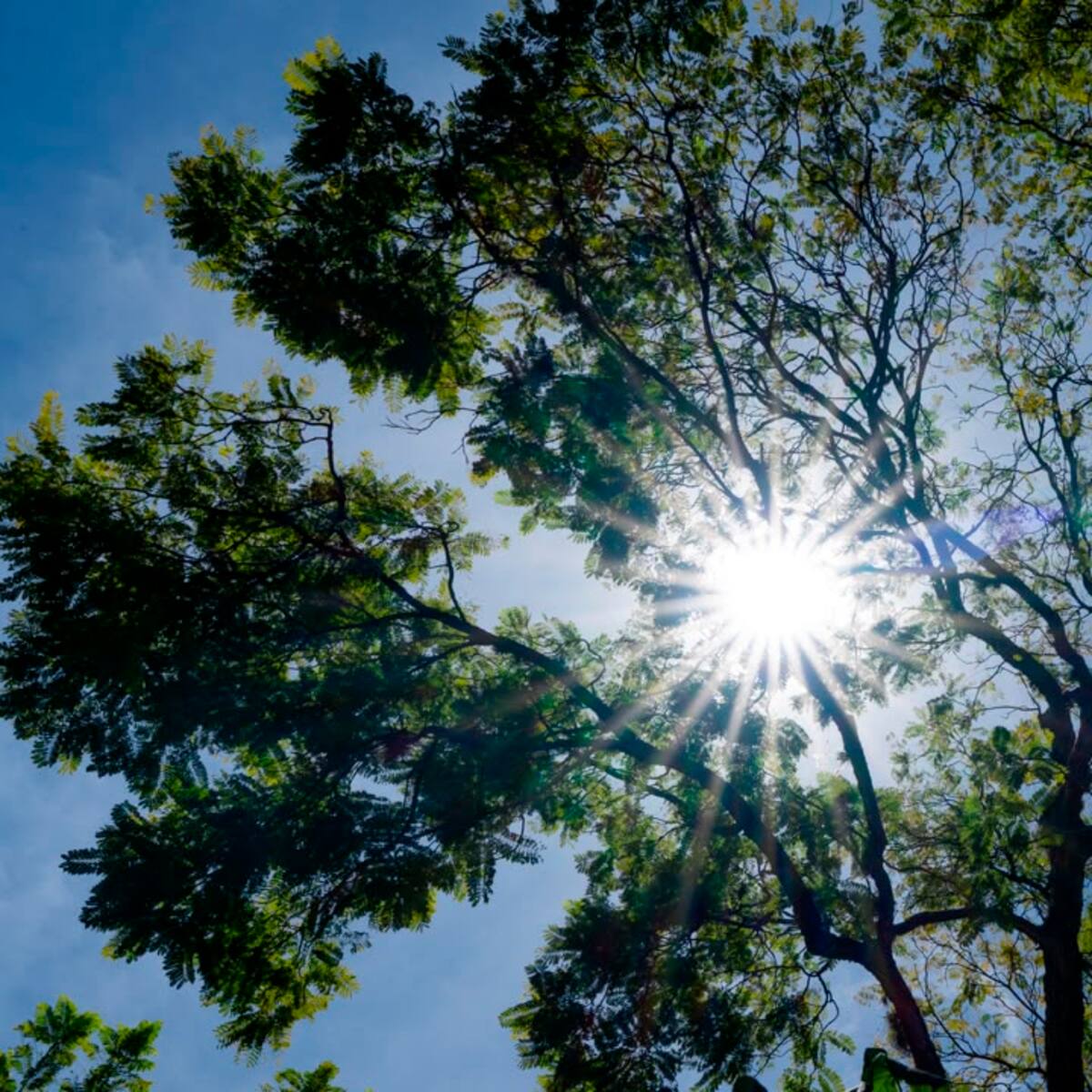 ¿Es solo su impresión o realmente está haciendo más calor en Medellín y el Valle de Aburrá?