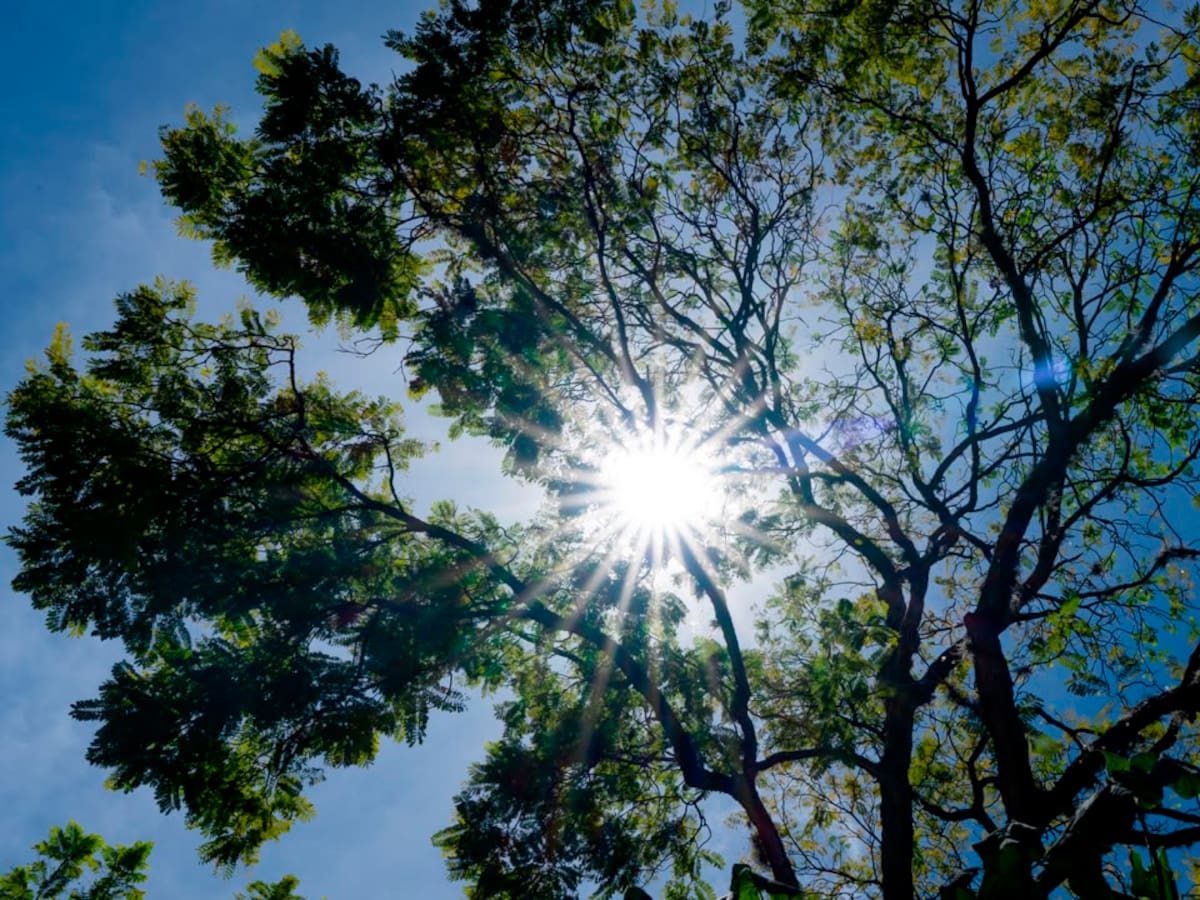 ¿Es solo su impresión o realmente está haciendo más calor en Medellín y el Valle de Aburrá?