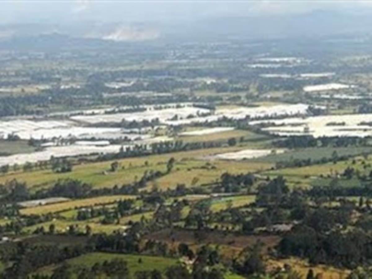 Zona del norte de Bogotá es declarada reserva forestal
